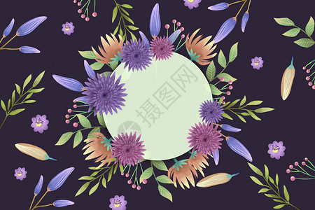 粉紫色标签边框黑底粉紫色花卉圆形边框背景插画