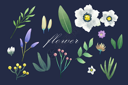 花卉植物元素集合背景图片