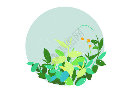 谷雨植物插画图片