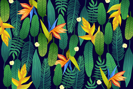 黑底翅膀素材热带植被花卉图案插画