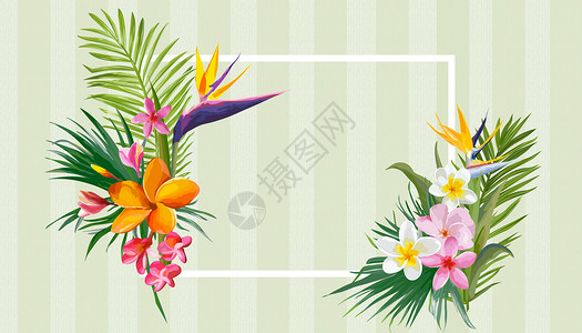 色彩边框植物花卉边框插画