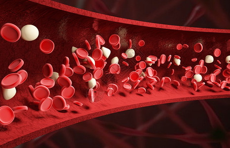 媒介投放血红细胞血管场景设计图片