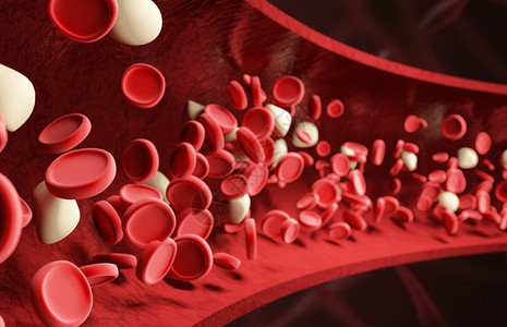 功能机血红细胞血管场景设计图片