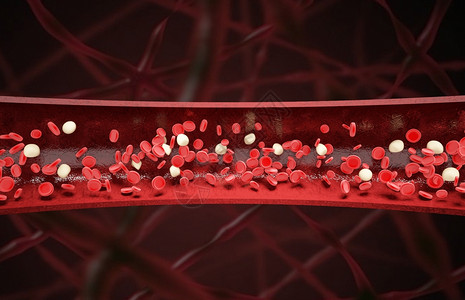 制氧气血红细胞血管场景设计图片