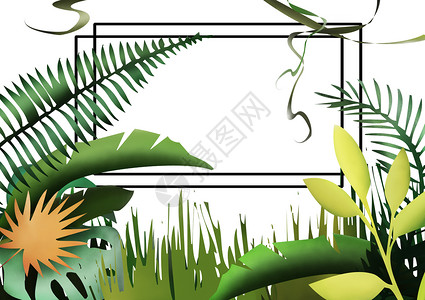 丛林之旅--植物背景海报图片