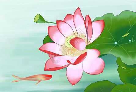 鱼戏莲叶间背景图片