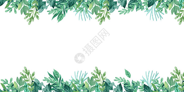 桉树树枝手绘水彩植物背景插画