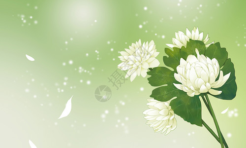 绿色信纸花卉植物背景插画