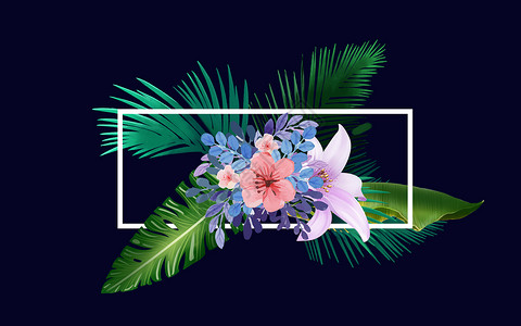 植物花卉装饰框图片