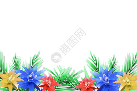 花卉植物简约背景背景图片