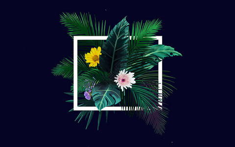 热带植物装饰框背景图片