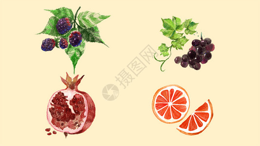 无籽葡萄手绘水果素材插画