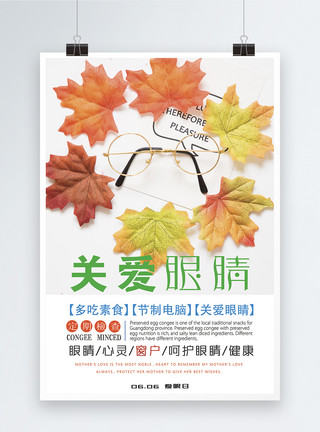 琴岛之眼全国爱眼日宣传海报模板