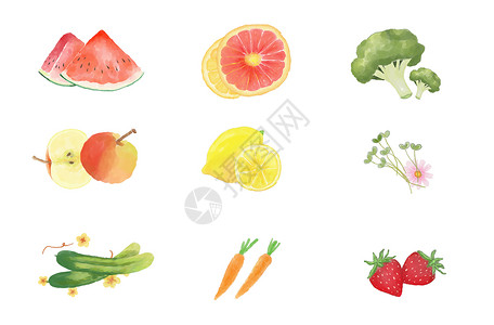 采摘柚子水彩水果蔬菜素材插画