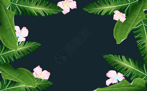 西瓜装饰插画夏季热带植物背景插画