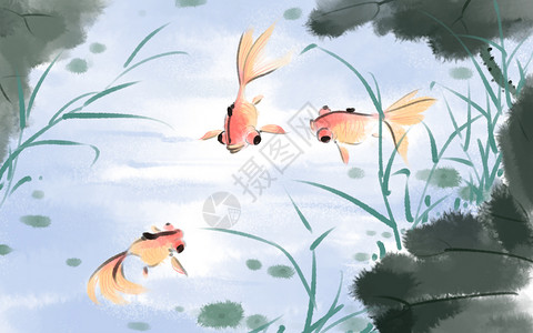 中式花鸟画中国风金鱼插画