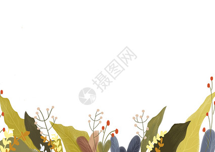 花丛边框白叶子植物背景图插画