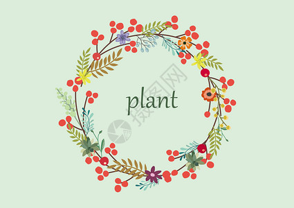 植物花卉图片