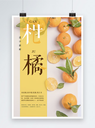 柑橘采摘进口水果宣传海报模板