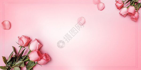 淡粉色玫瑰花蕾母爱背景设计图片