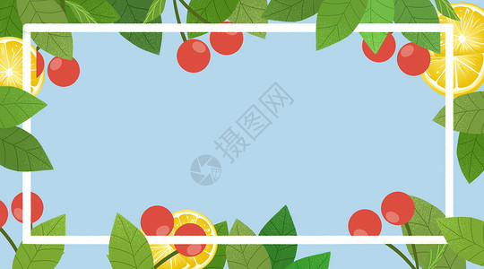 西瓜橙子装饰夏天元素边框插画