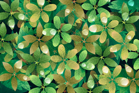 绿色树叶水滴背景图片