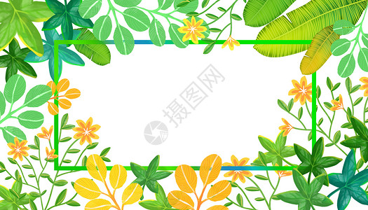 花朵大叶草边框植物边框插画