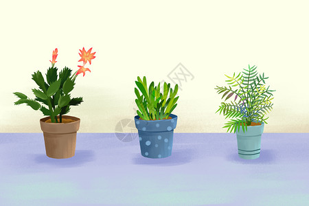 绿色植物和花盆植物盆栽插画