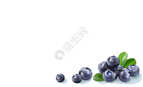 夏日旅游边框蓝莓插画