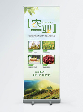 晒黄豆有机粮食生态农业宣传展架模板