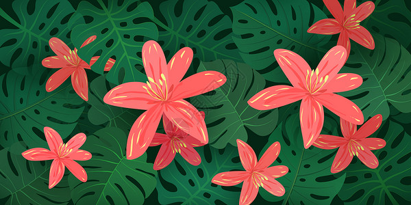 花卉背景插图图片