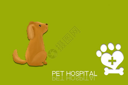 疾病知识宠物医疗创意背景设计图片