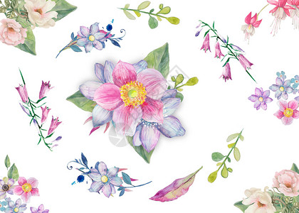 花卉留白背景手绘水彩花卉背景插画
