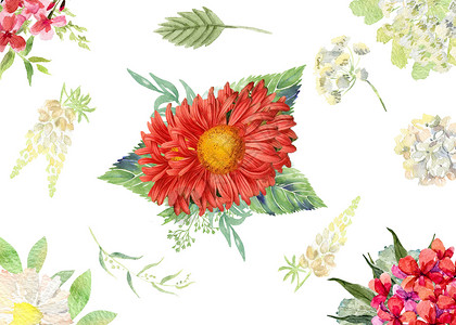 绣球花边框手绘水彩花卉背景插画