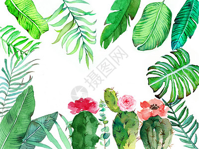 水彩手绘植物背景图片