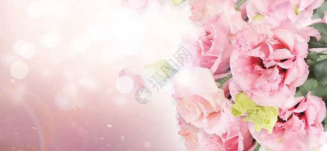 一束康乃馨鲜花背景海报设计图片
