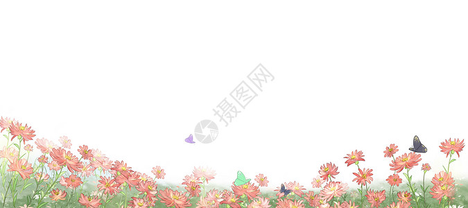 小雏菊背景图片
