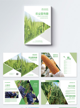 icon设计绿色农业画册整套模板
