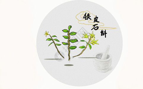 中草药插画手绘植物石斛高清图片