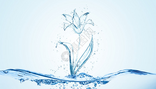 水百合荷叶创意百合花朵场景设计图片