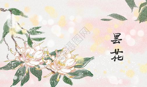 古风昙花水墨插画高清图片