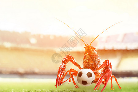 小龙虾的世界杯体育高清图片素材