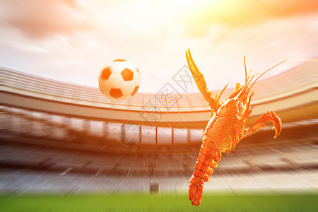 小龙虾与足球球场高清图片素材