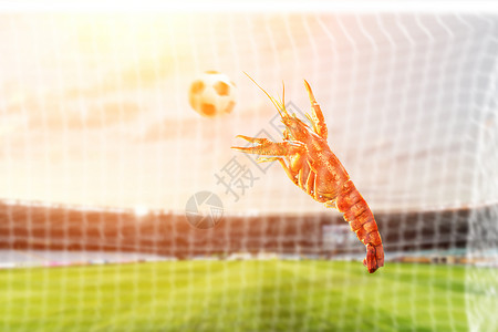 小龙虾与足球足球运动员高清图片素材