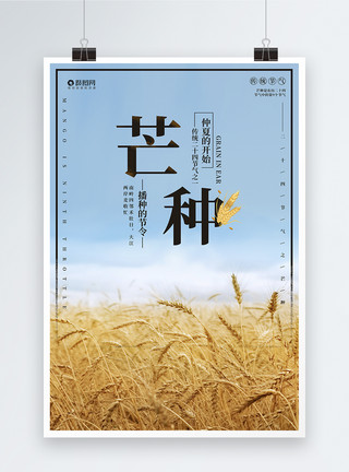 五彩稻田芒种海报模板