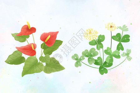 红掌植物植物花卉元素插画