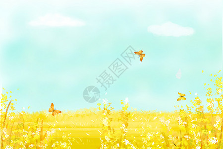 油菜花蝴蝶蜜蜂背景图片