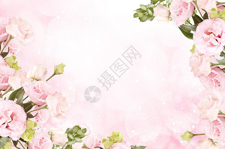 清新玫瑰花环浪漫花卉背景设计图片