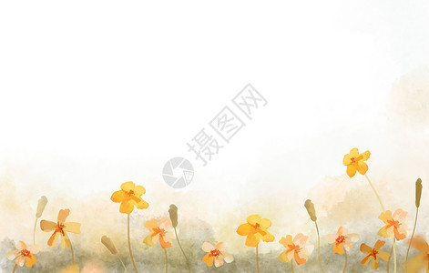 夏天的边框橘色花朵插画