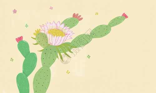 仙人掌插画植物高清图片素材